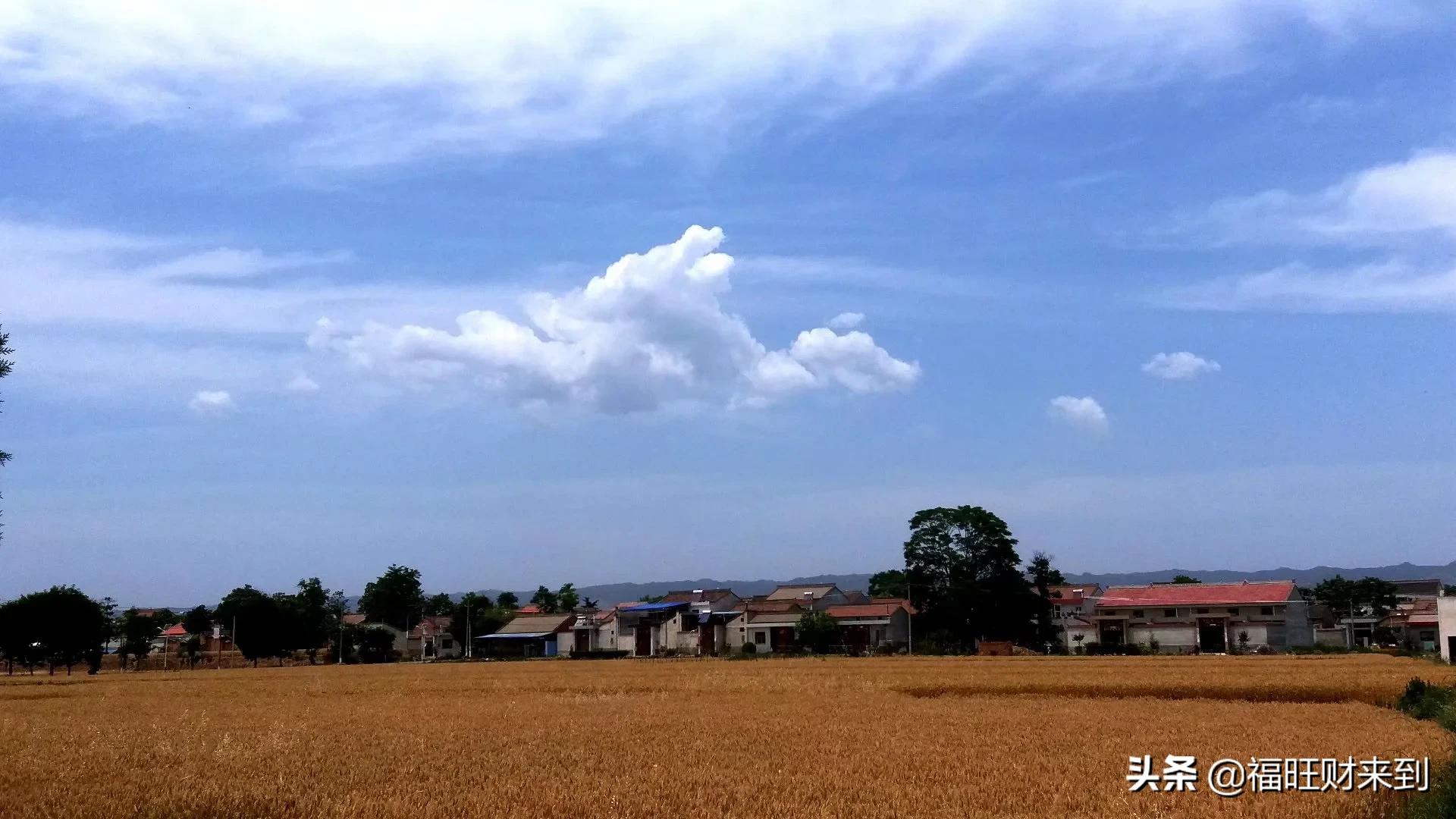 6月5号芒种,2018年6月6日芒种