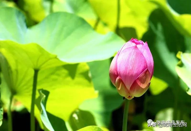 我叫成县，这是我2019年的自拍照