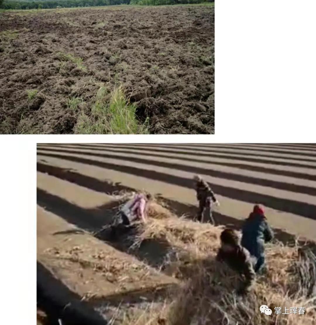 李玉波俄罗斯,李玉波珲春