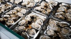 大光明自助生蚝,最真实的生蚝自助