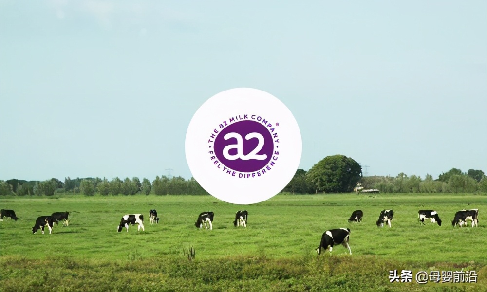 a2海外国产,a2中国版和澳洲版区别