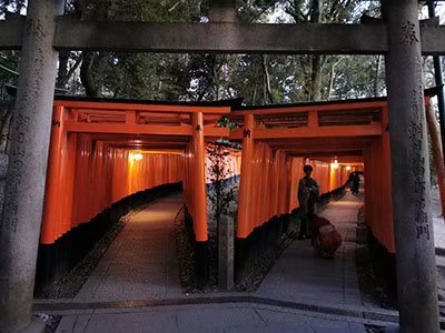 2020鏃ユ湰澶ч槳,澶ч槳浜兘濂堣壇鍏ぉ瀹夋帓