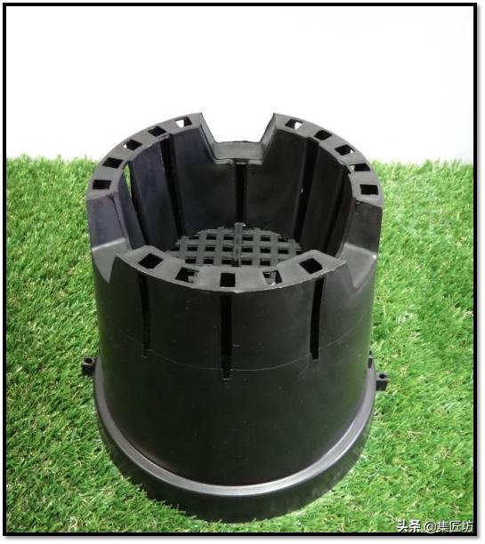 幼苗不好养？盆器很关键！以松类盆景为例，浅谈盆景幼苗养护技巧