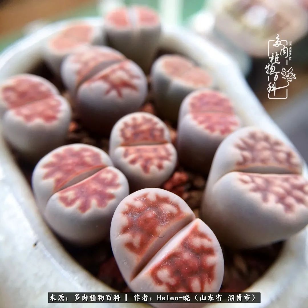 人到中年温暖如初,人到中年岁月静好