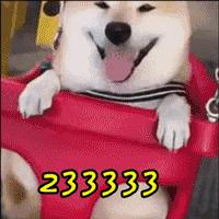 这种*裤内**你还在穿？赶紧扔掉，小心得「那种病」