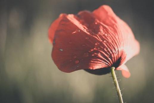 鎬诲湪涓嶇粡鎰忛棿璧犱綘鏇茬粓浜烘暎,宀佹湀鎬诲湪涓嶇粡鎰忛棿閫佷綘鏇茬粓浜烘暎
