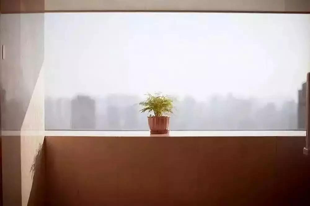 看透感情的十大经典语录,情感穿透人心的话精辟犀利