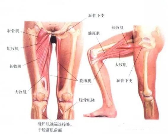 盆腔炎用针灸治疗效果好吗,针灸治疗盆腔炎