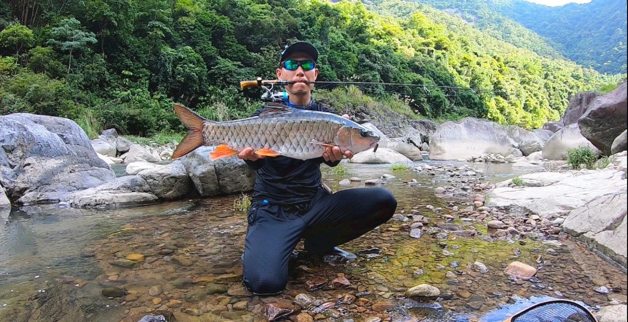 蓝微物,蓝溪微物