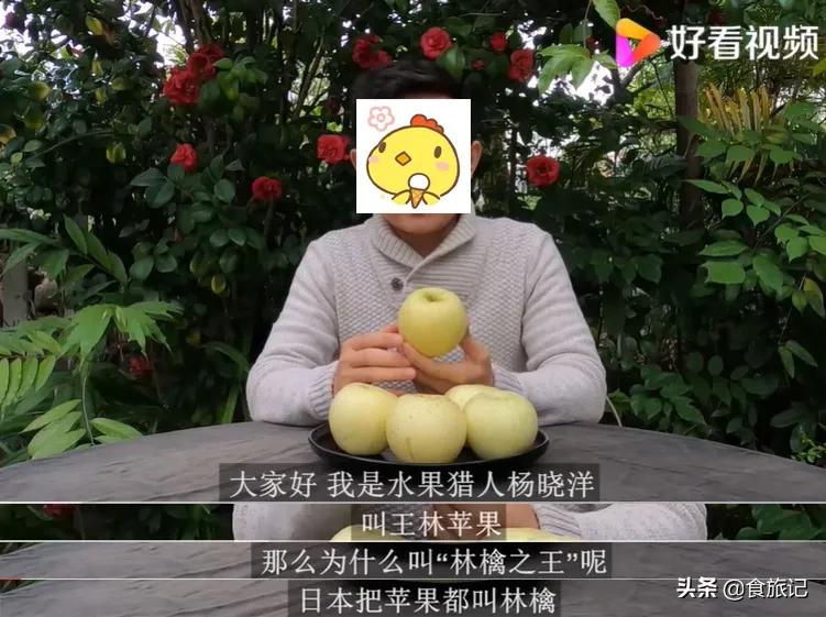 酥脆多汁甘甜无酸的红肉苹果,日本正宗的红富士苹果