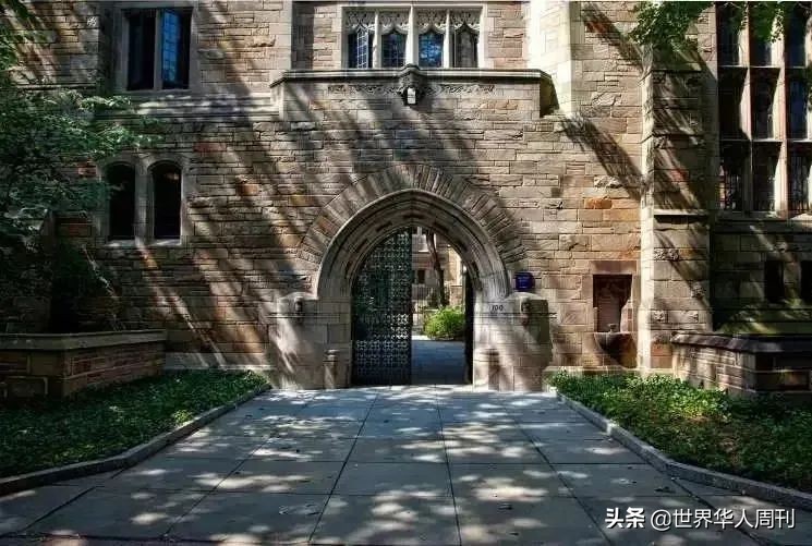 没有留学生的中国大学,中国留学生最容易申请的世界名校
