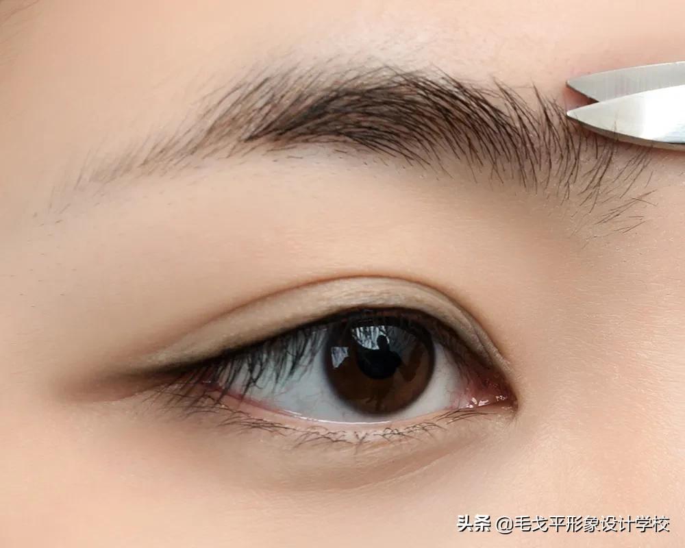 教你修出精致好看的眉形,这可能是史上最全的变美攻略
