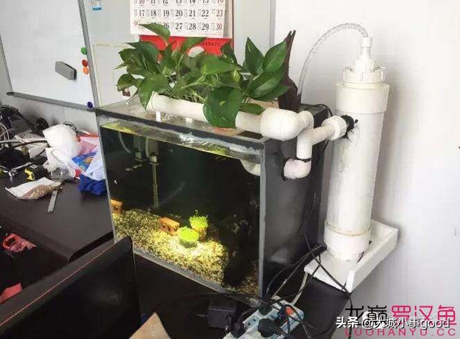 过滤棉讲解,物理过滤滤棉选择