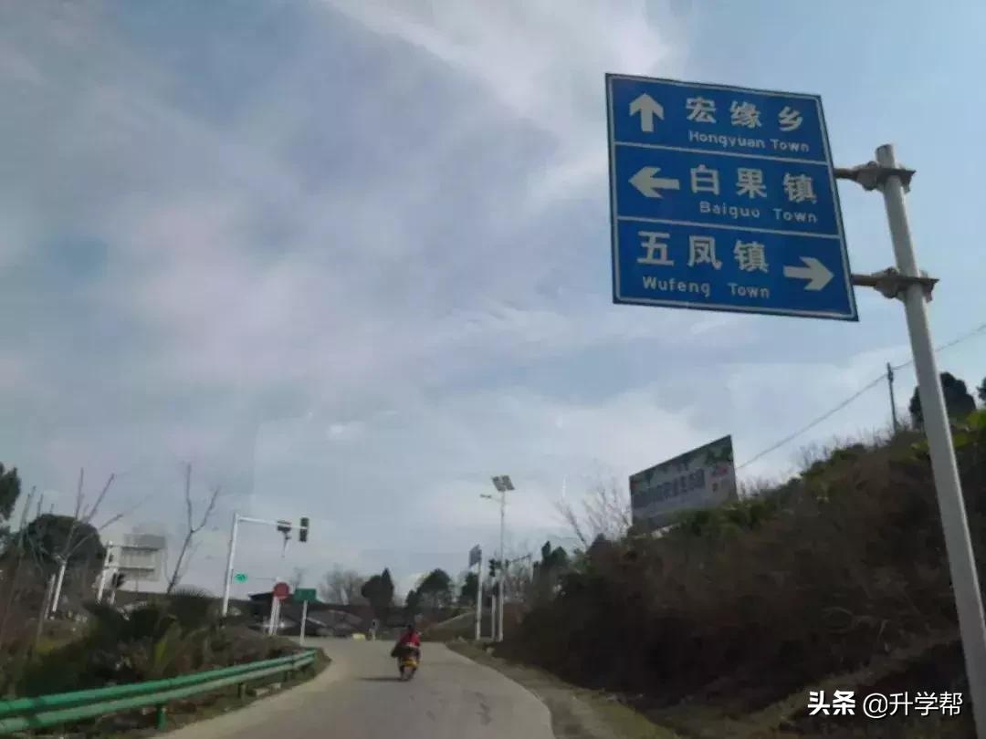 成都看花玩水,成都春游看花