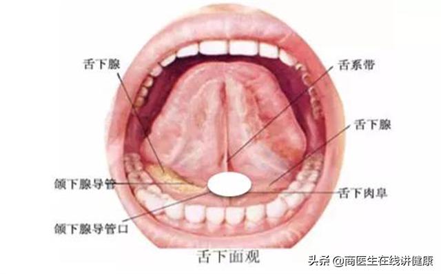 心脏病说犯就犯吃什么中药,冠心病心绞痛长期吃丹参片有效吗