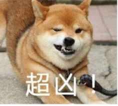 金佑人生和金诺优享哪个更适合,金佑人生交够十年有什么好处