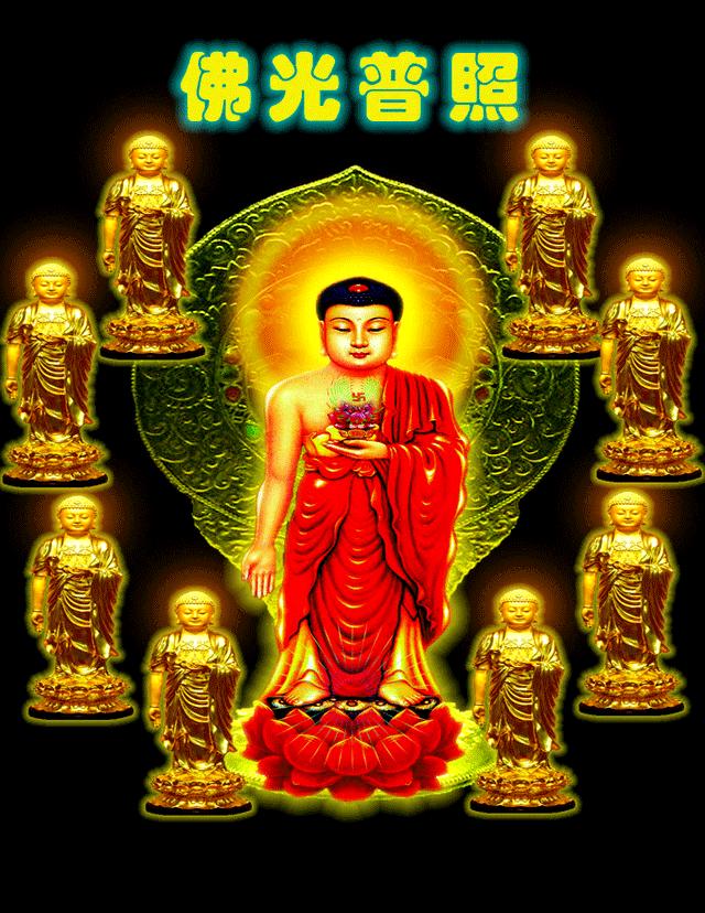 每日阿弥陀佛图片,阿弥陀佛放光动态图片高清图文