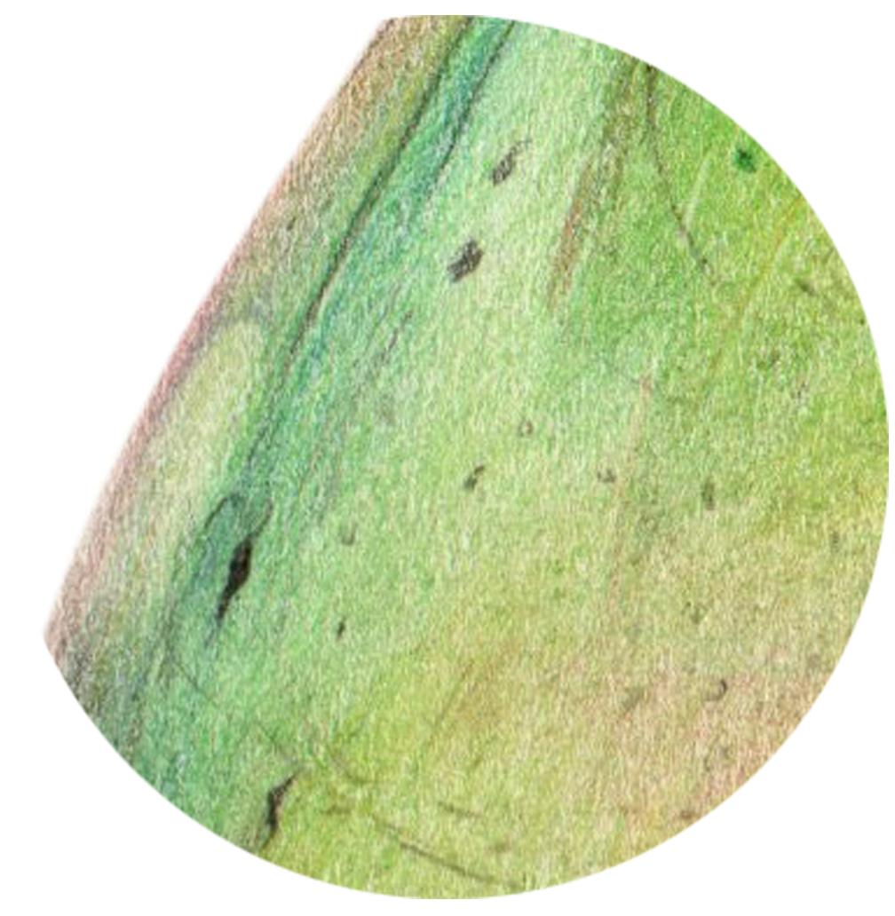 彩铅玻璃质感,彩铅物体背光面上色技法规律讲解