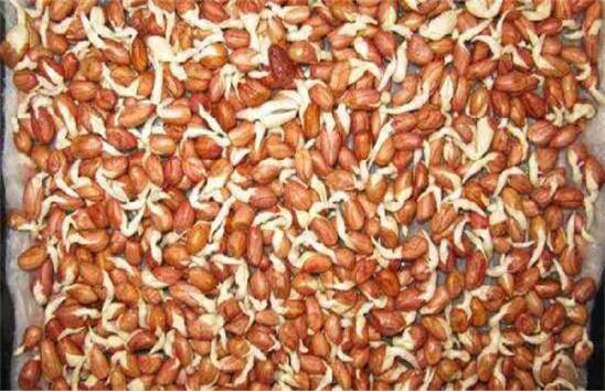 楼顶种花生种植方法,花生的种植方法和管理