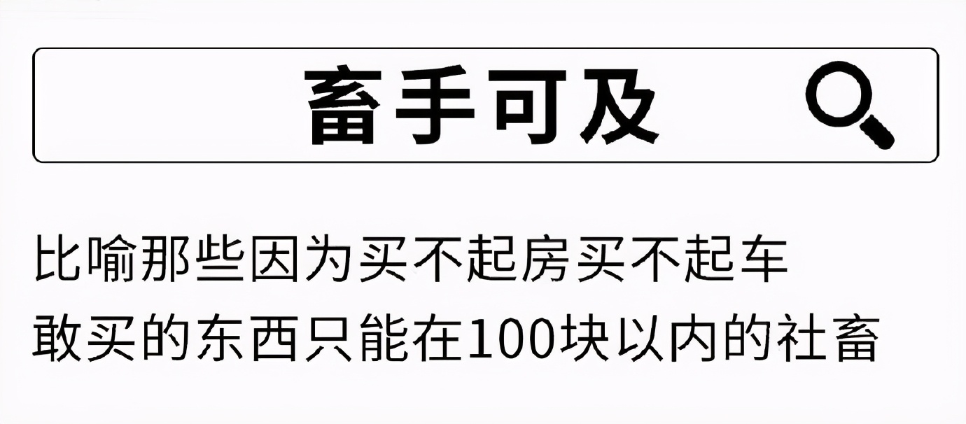 28岁社畜变成高中生,35岁社畜的忠告