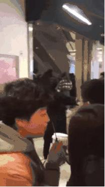 全国很多人都在抢!已炒到1500+元!有人为它通宵排队……