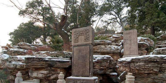 红楼梦中的贾府的四春,红楼梦里的三春指哪三春