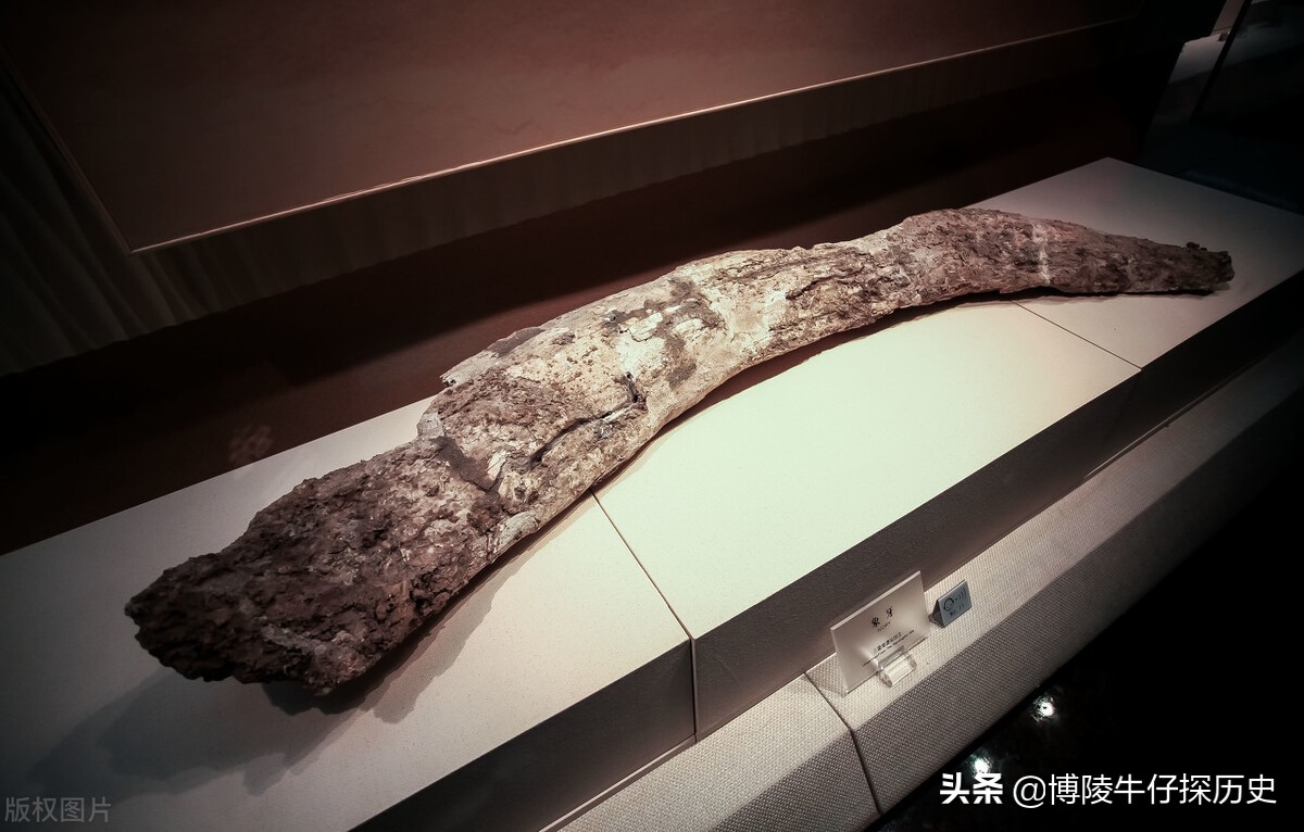 三星堆山海经象牙,三星堆出土的象牙是不是猛犸象牙