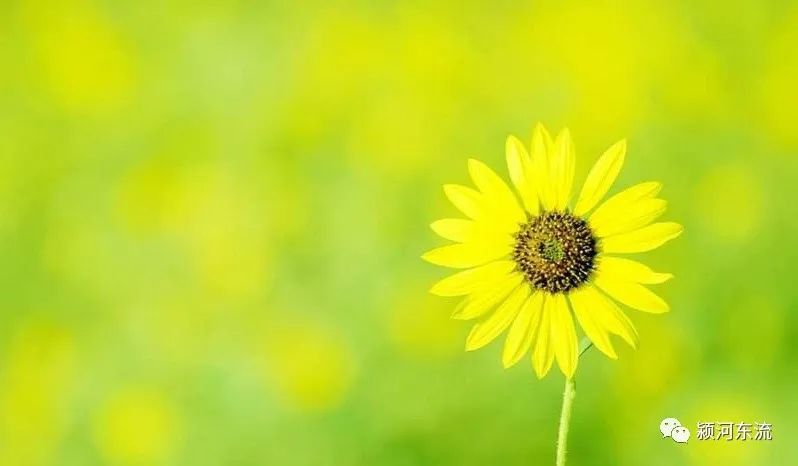 太和特色早餐麻糊,安徽阜阳一碗麻糊