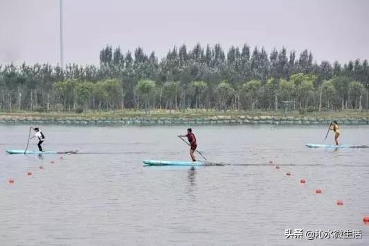 太原二青会省内火炬传递路线,二青会在太原比赛的场地