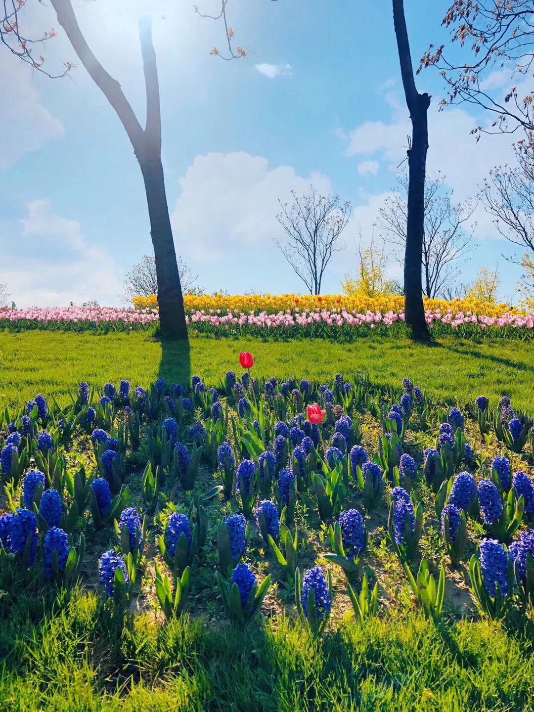 水浒传2040测试题,水浒传知识考试题
