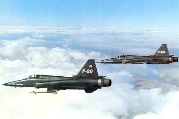 虎鲨悲剧,极富悲剧色彩的虎鲸