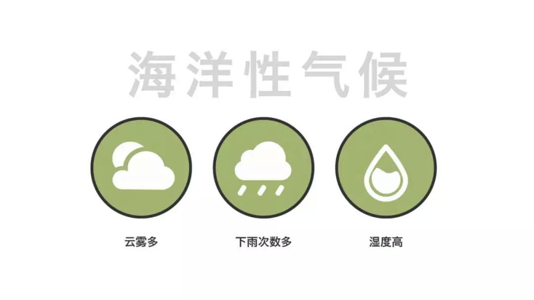 台湾宝岛茶,台湾最好的茶是哪个