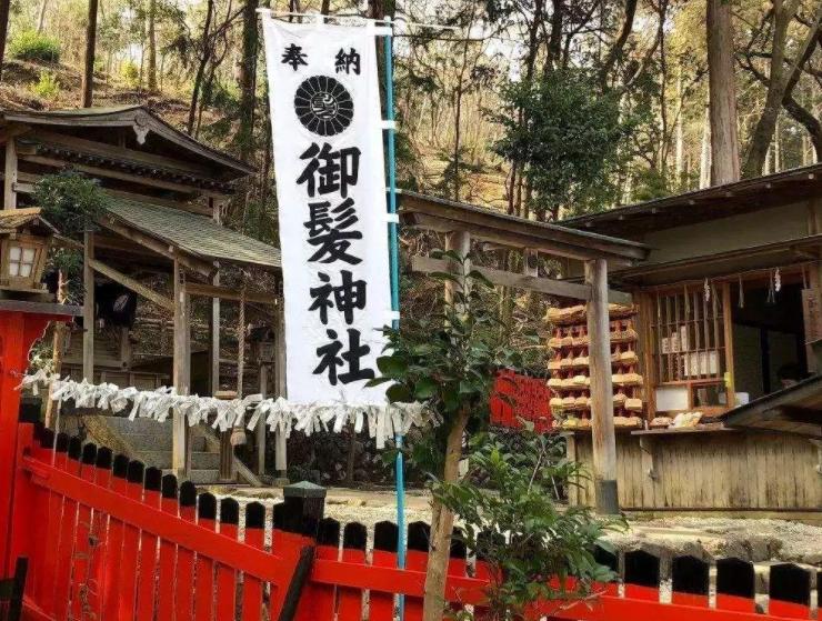 奥根镇宅,奥根有庇佑作用么