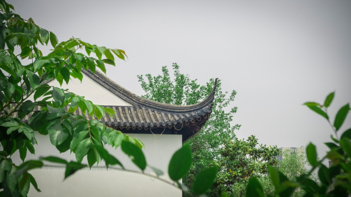 新手摄影入门必备攻略,新手摄影必背口诀