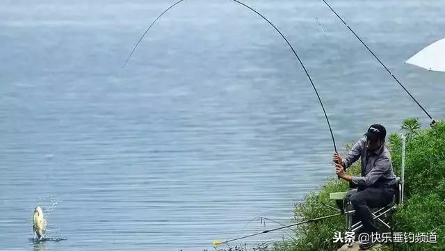 野钓跑鱼后最佳方法,野钓老是脱钩怎么回事