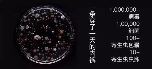 女人内裤到底有多脏,女生内裤到底有多脏