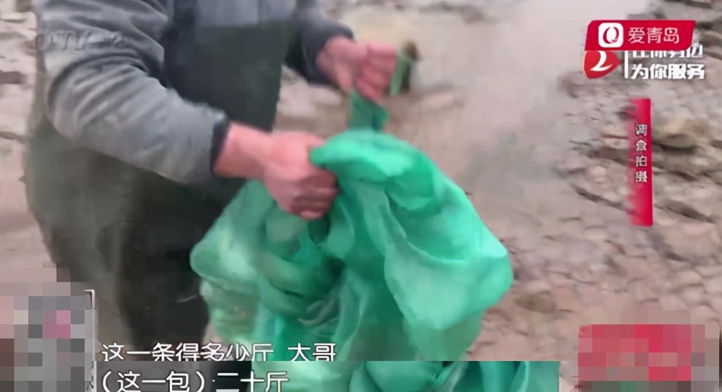 跨区域非法捕捞现象猖獗,一天能抓多少鱼