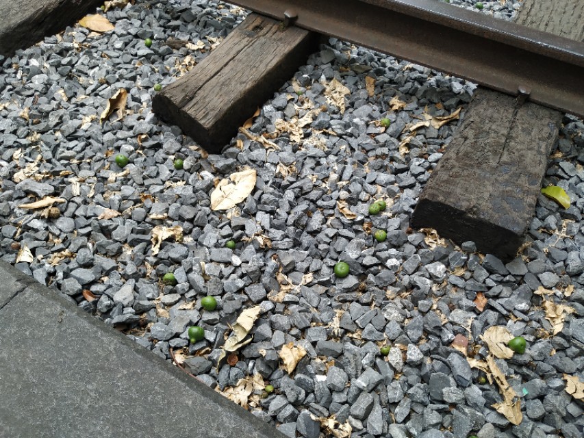 杭州古城门十门,杭州十大古城门