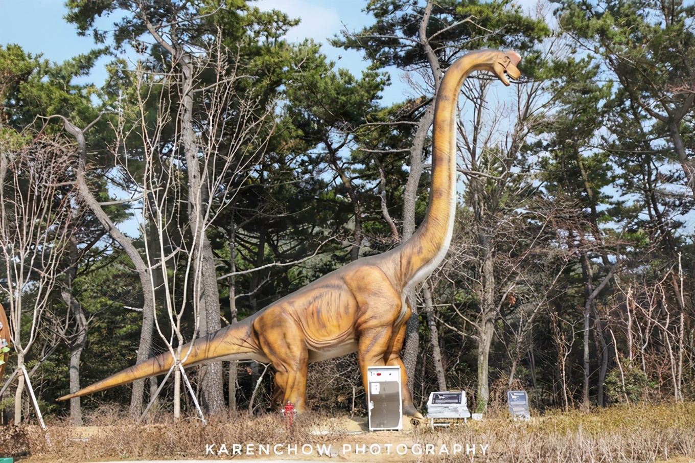 韩国安东美食,韩国釜山必游胜地