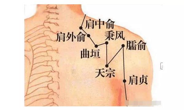 中成药治全身疼痛关节炎肩周炎,治疗风湿性关节炎肩周炎的药