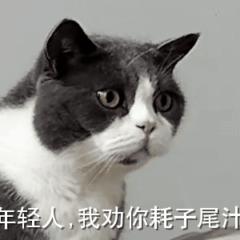 高数上下册自学要多久,大一新生怎么学好高数