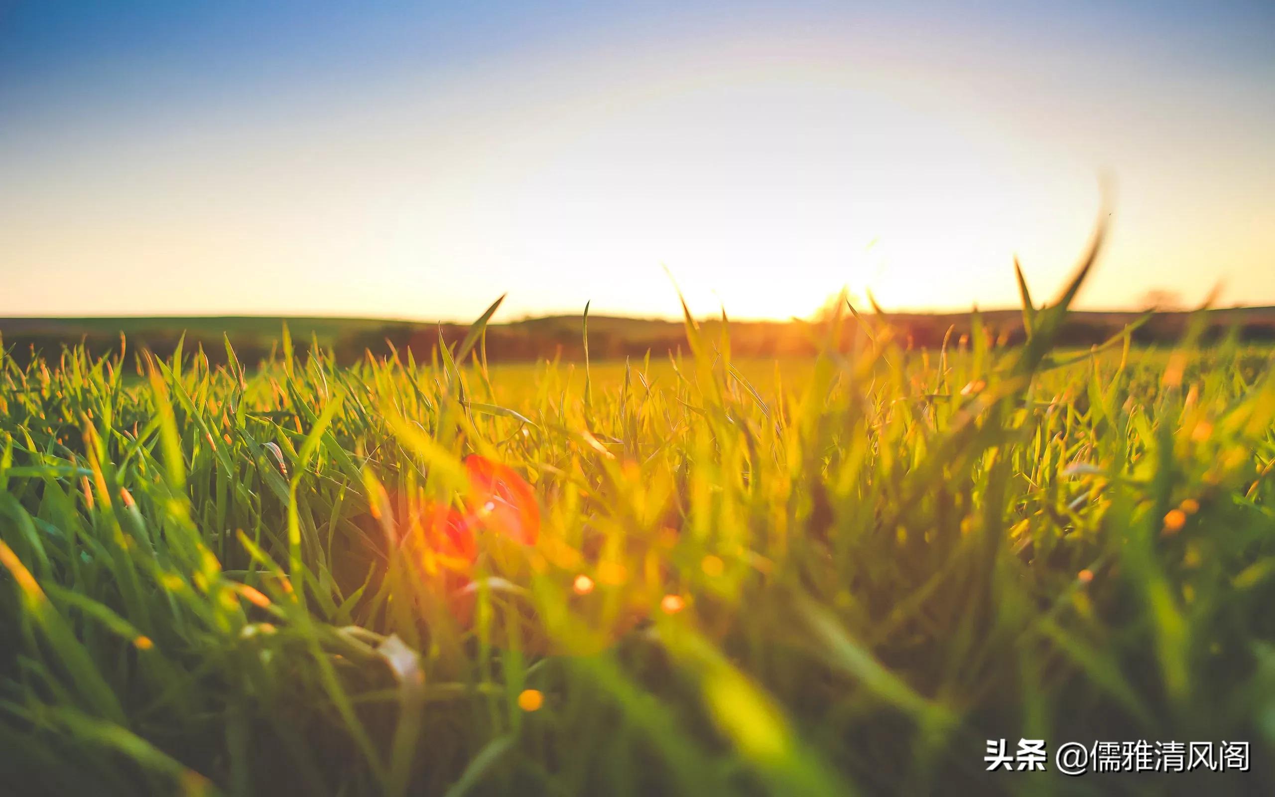 微小说最心酸的秘密,微小说秘密情人