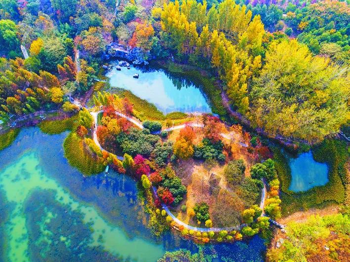 合肥被评为最宜居的城市,西安与合肥哪个宜居