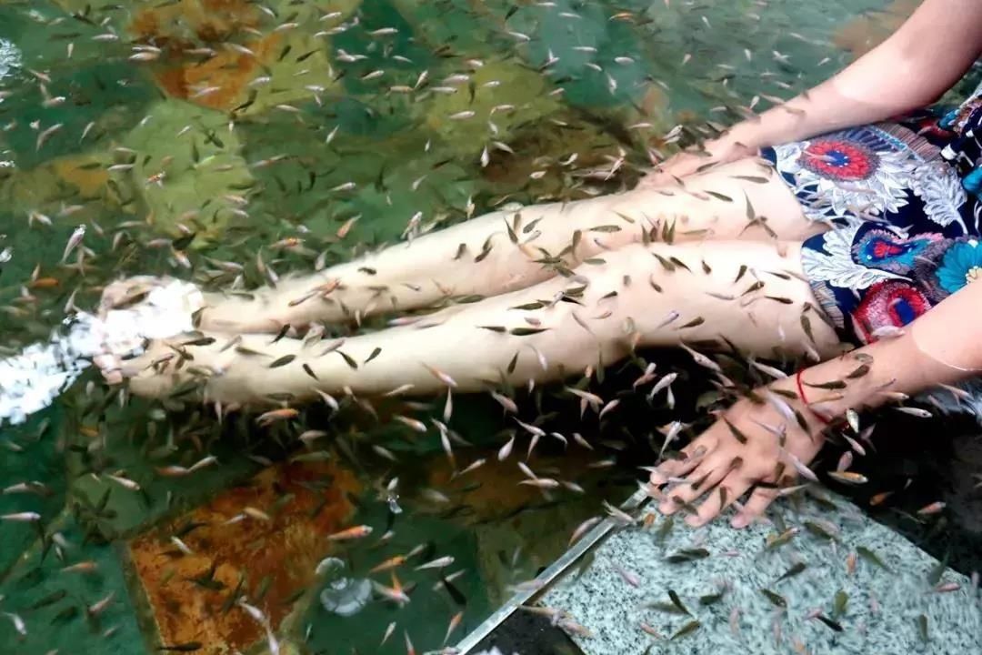 镇江圌山天沐温泉门票要多少钱,镇江圌山天沐温泉度假区团购