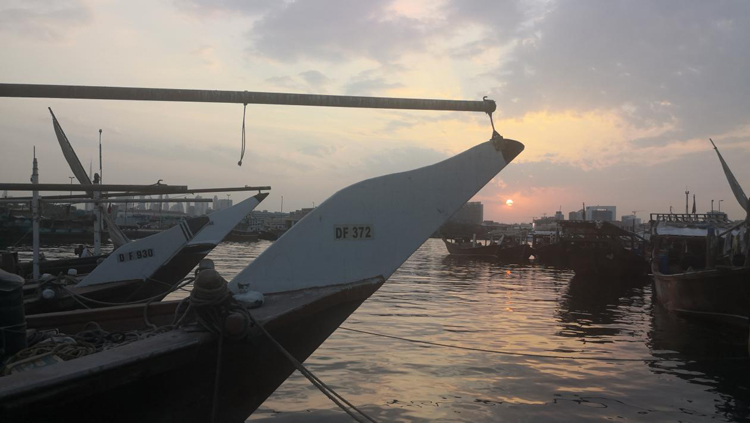 在迪拜穷游真实感受,穷游去迪拜视频