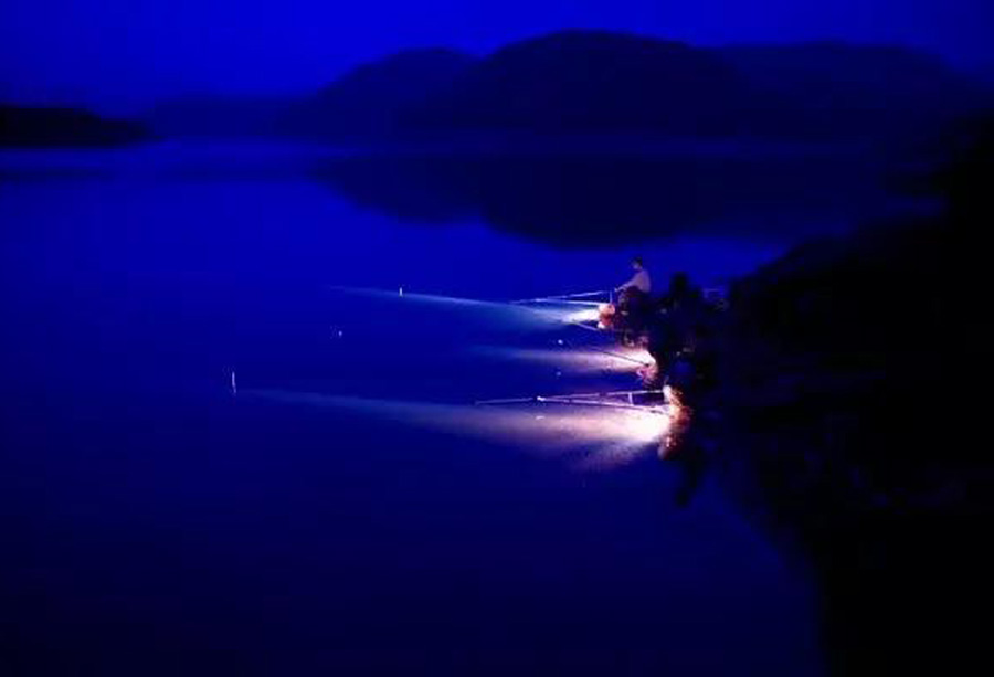 夏季钓夜鱼不吃钩怎么办,夏天夜钓天气凉爽钓不到鱼