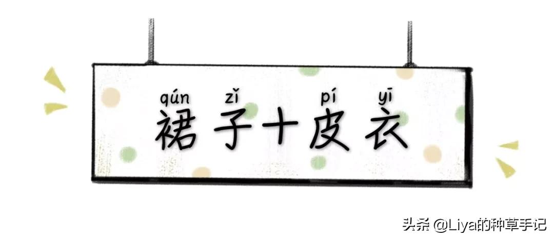 半裙+外套,连衣裙+外套=今春王炸组合