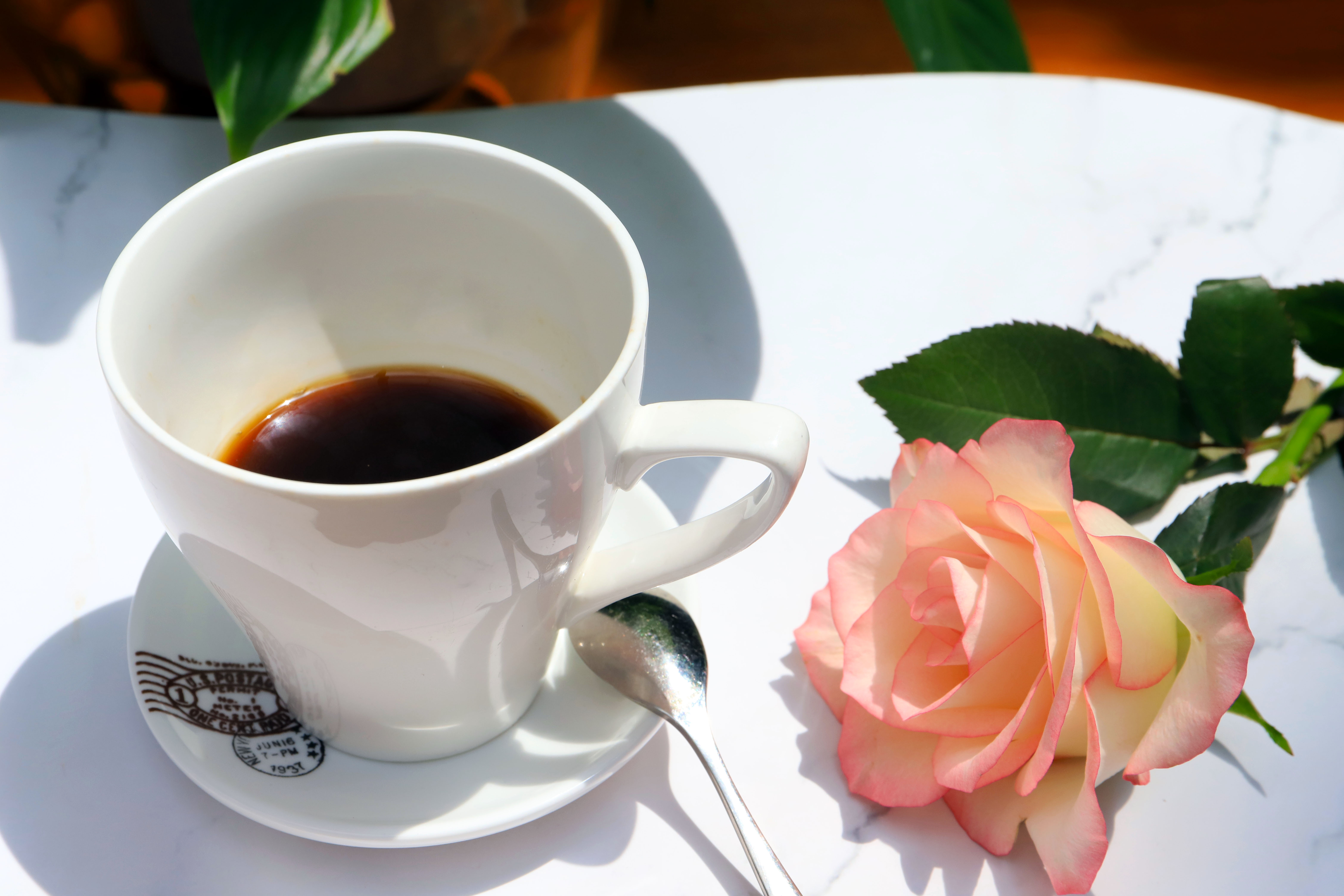 松茸C位的网红下午茶,打卡因美丽传说而诞生的第5颗陨石酒店