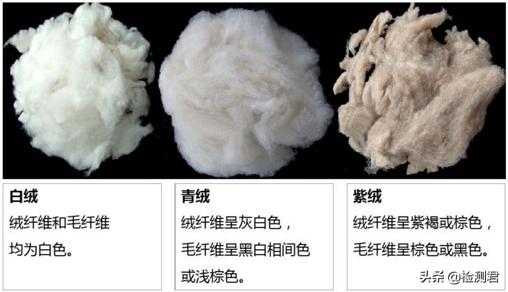 动物毛怎么收藏,各种动物毛纤维