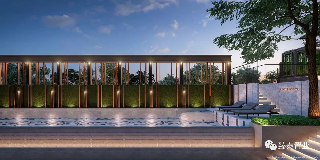 年轻生活！THEORIGIN拉差达性价比之王